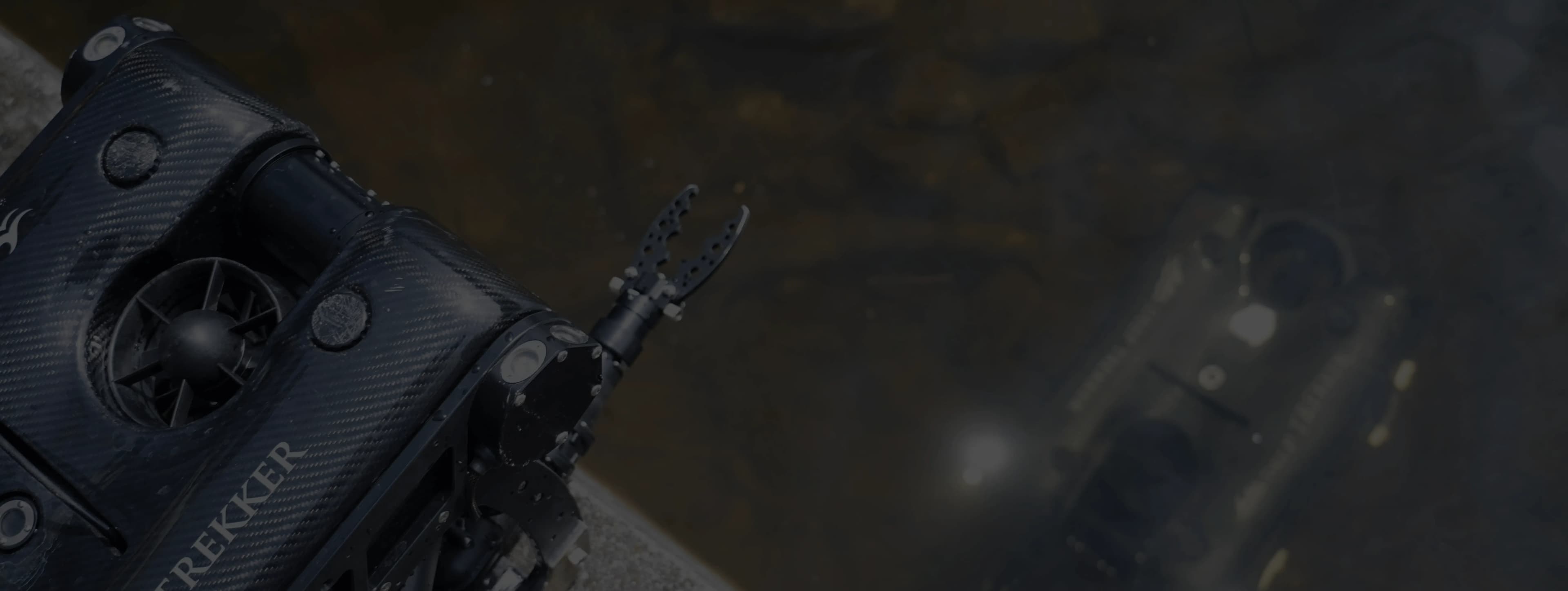 EOP Homepage background for form