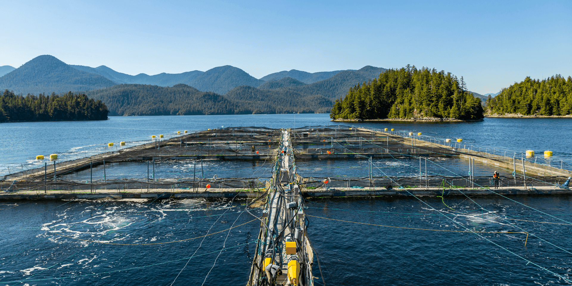 Aquaculture fish farm cages