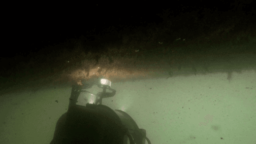 Cygnus Thickness Gauge