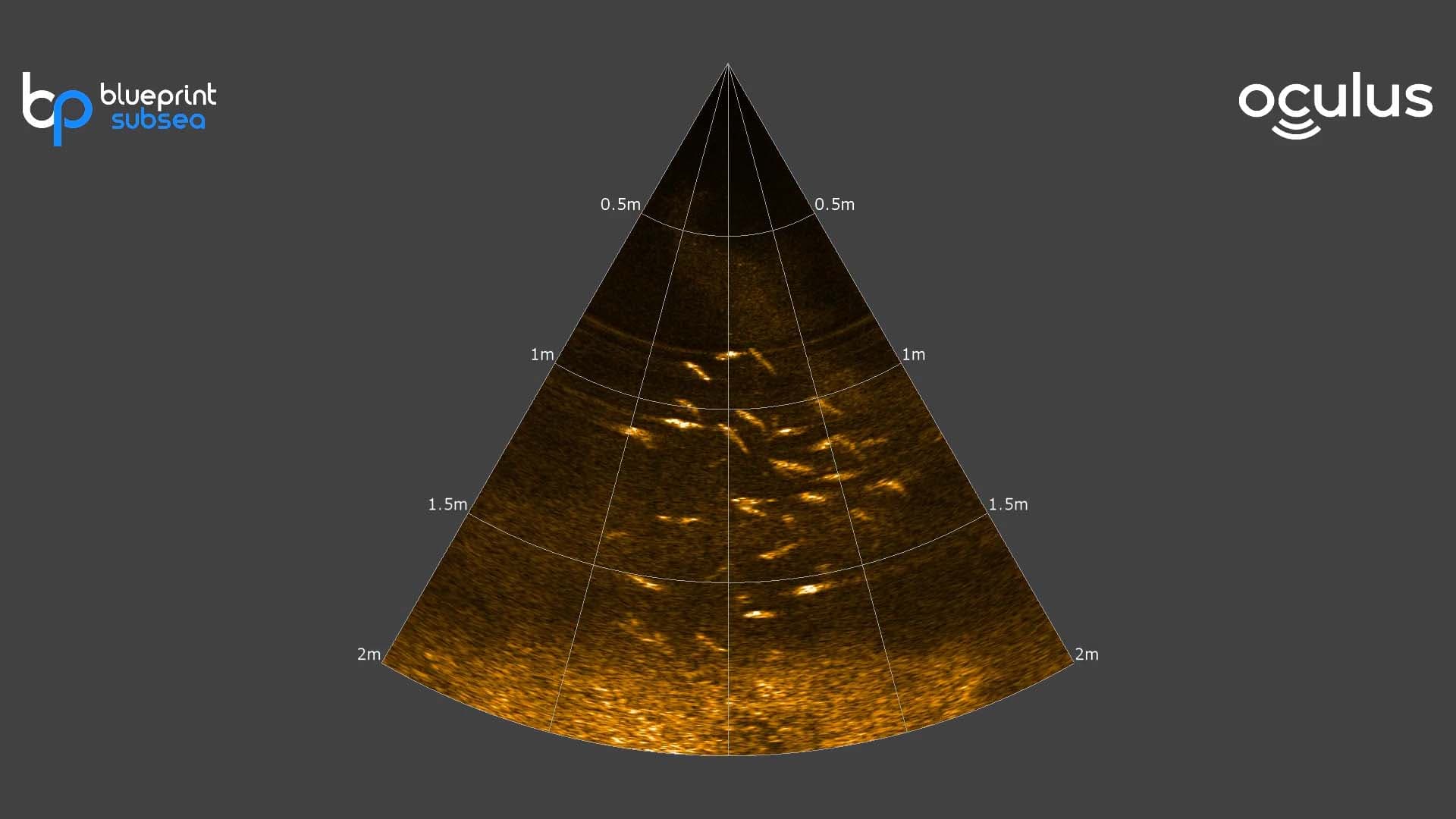 Oculus M1200d 2100kHz School of Fish